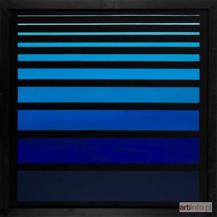 CAMPIO  | Optical tint, 2015 r.