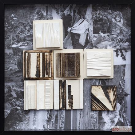 ŚLIWA Aneta | Honsiu 2011, 2018